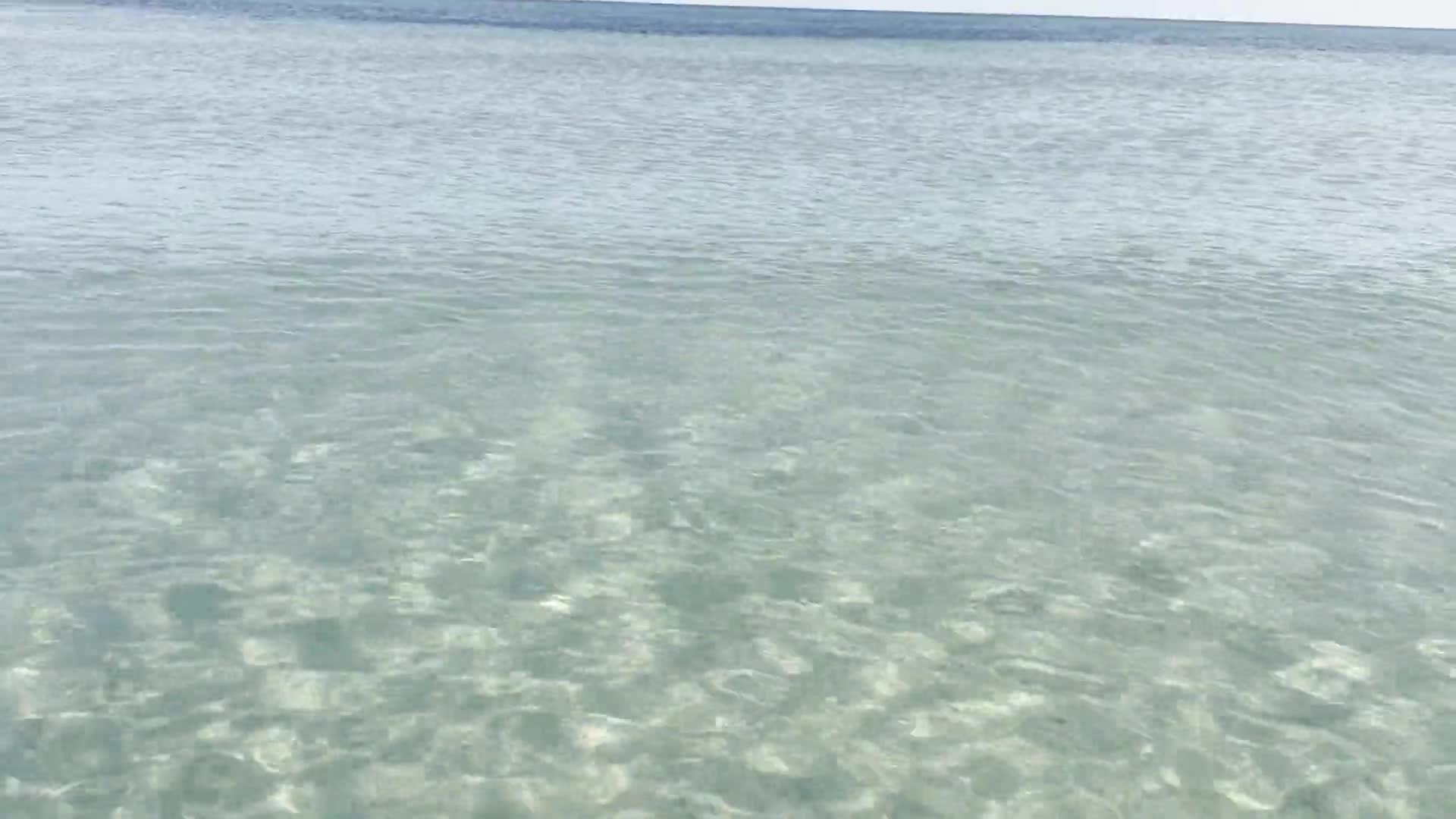 Clear emerald water of Pensacola Beach with sunlight rippling over the sandy bottom